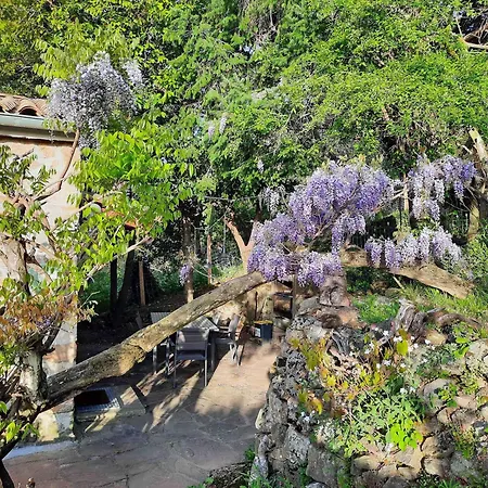 Klimatisiertes Mit Pool